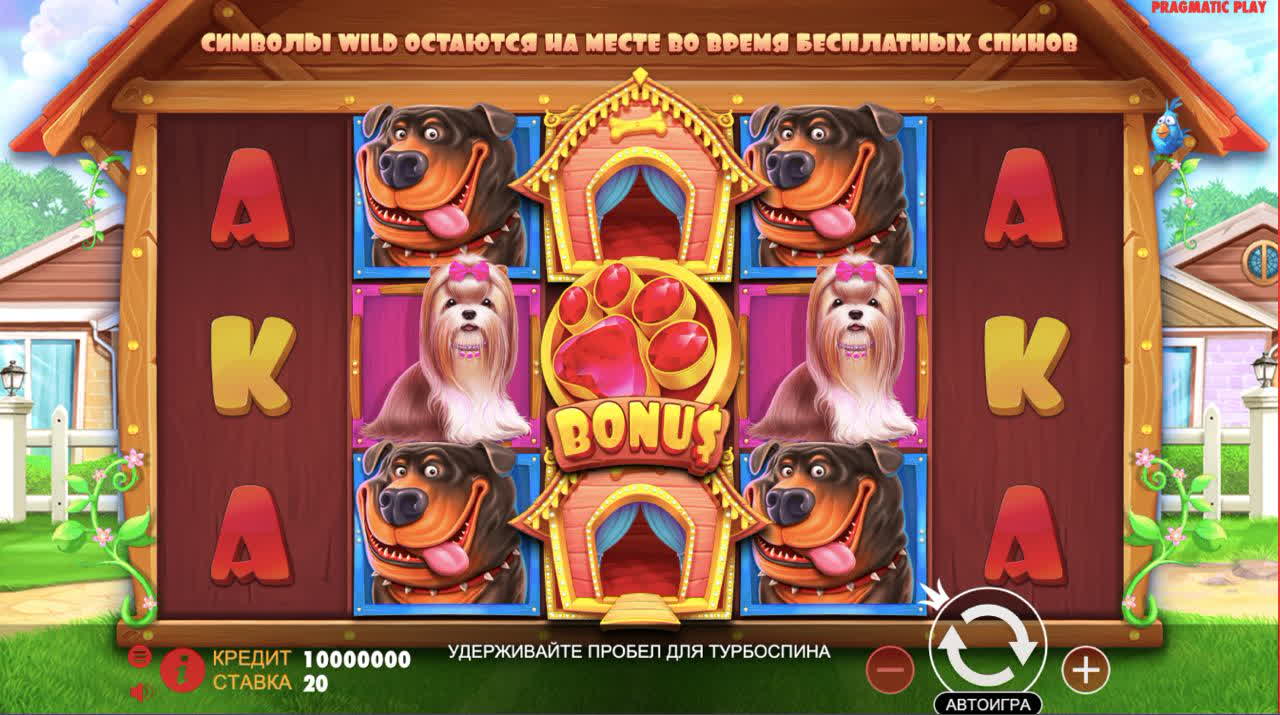 Dog House интерфейс